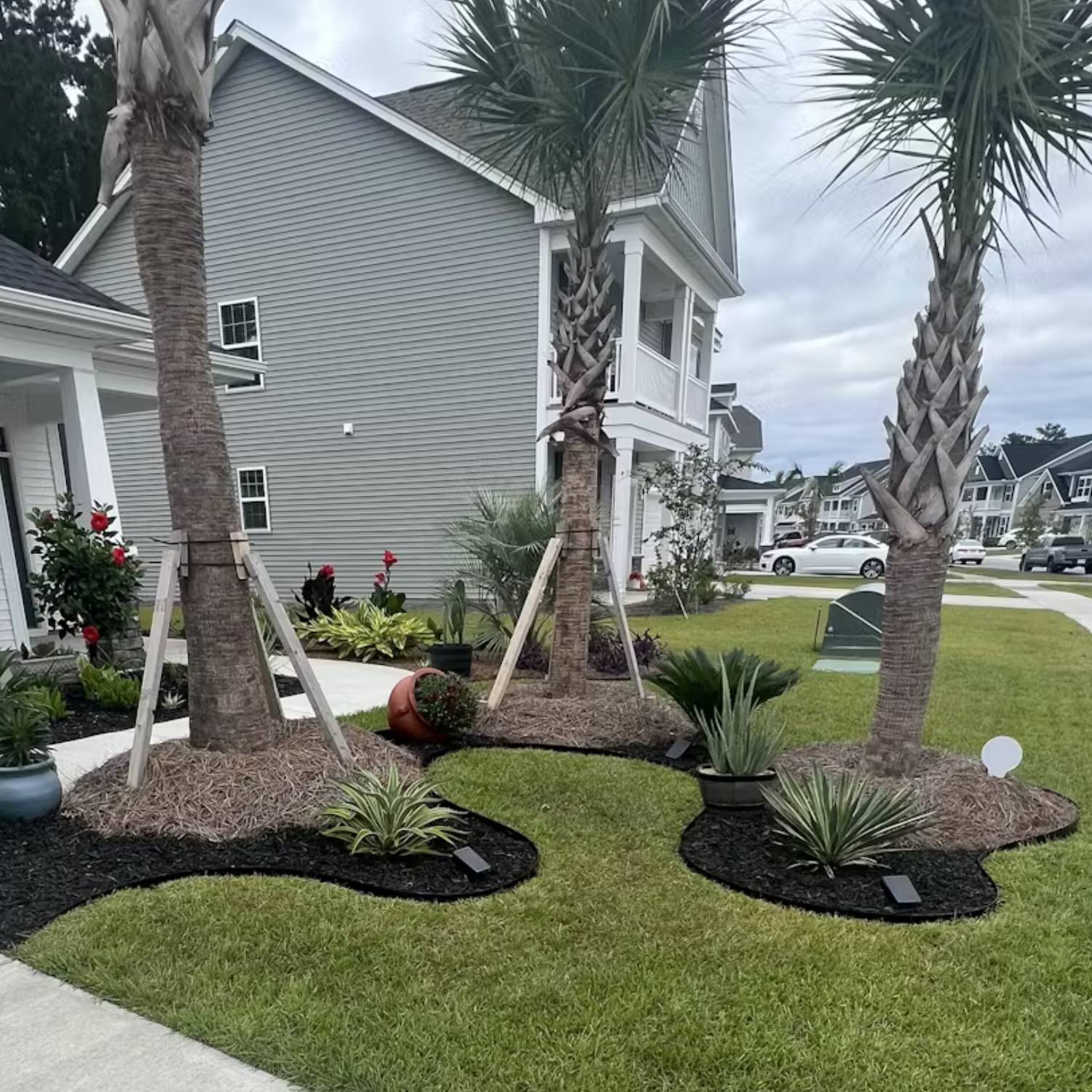 Black steel garden edging giving a thin dark line between lawn and bed